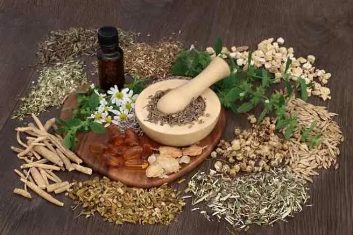 Berkembangnya Penggunaan Obat Herbal dalam Dunia Medis Kontemporer