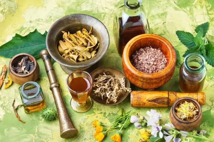 Mengungkap Rahasia Khasiat Obat Herbal dalam Pengobatan Tradisional